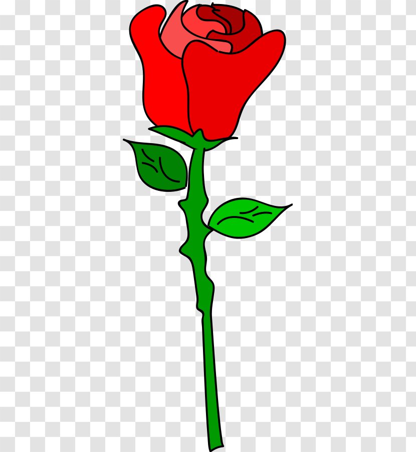 Cartoon Drawing Rose Clip Art - Flowering Plant - Svgz Transparent PNG