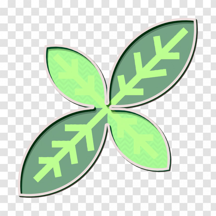 Herb Icon Basil Icon Transparent PNG
