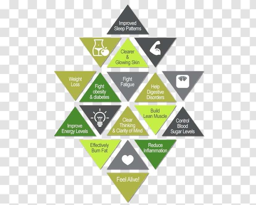 Paleolithic Diet Nutrition Health Dieting - Diagram Transparent PNG