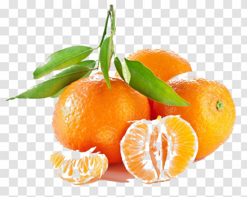 Mandarin Orange Tangerine Fruit Seed - Rangpur Transparent PNG