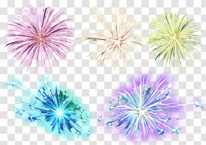 Desktop Wallpaper Fireworks Blue - Drawing - Firework Vector Transparent PNG