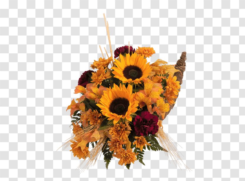 Common Sunflower Floral Design Cut Flowers Transvaal Daisy - Autumn Harvest Transparent PNG