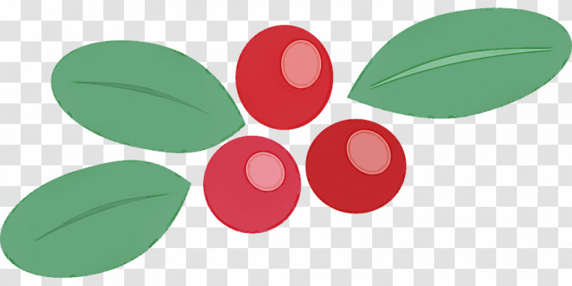 Logo Leaf Green Circle Petal Transparent PNG