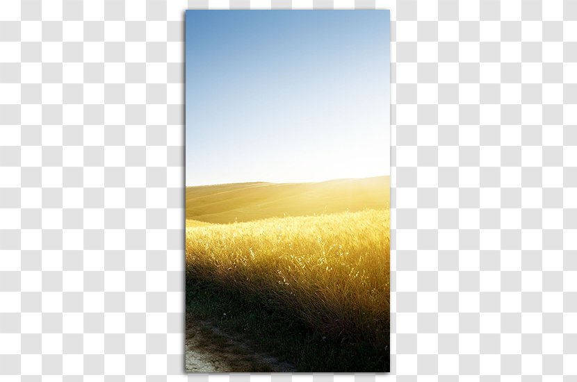 Take Me Home, Country Roads Desktop Wallpaper IPhone High-definition Television - Commodity - Road Transparent PNG