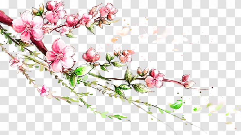 Branch Blossom - Plum Flower Transparent PNG