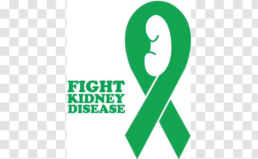 Kidney Disease Awareness Ribbon Cancer - Frame - Health Transparent PNG