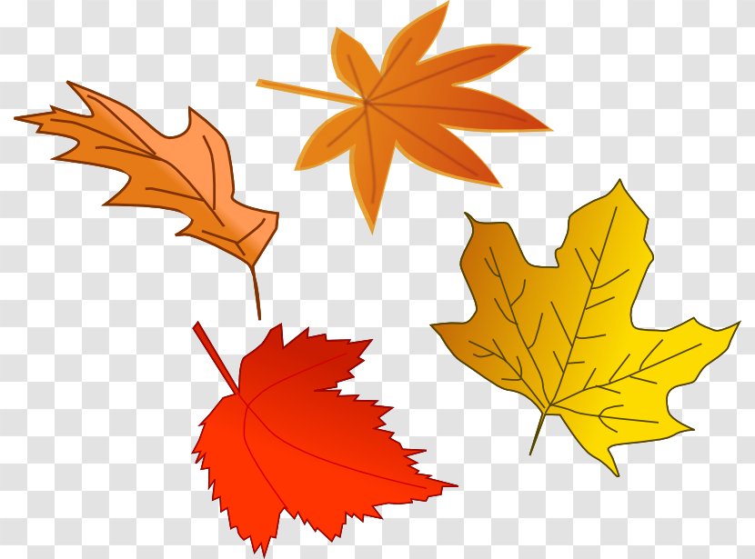 Autumn Leaf Color The Leaves Are Falling One By Clip Art - Yellow - Fall Clipart Transparent PNG