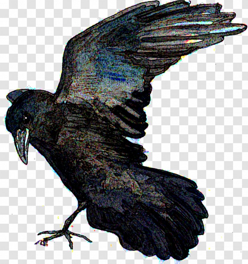 American Crow New Caledonian Rook Bald Eagle Common Raven - Wing - Little Girls Worship To Lord Shiva Transparent PNG