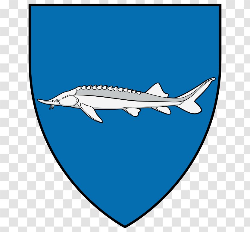 Fish Tiszakeszi Shark Coat Of Arms Chondrichthyes - Town Transparent PNG