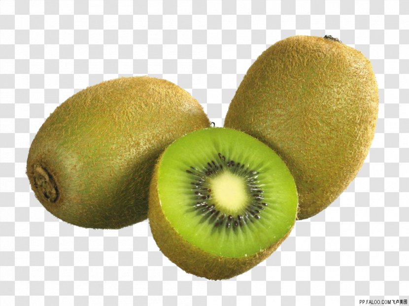 Kiwifruit Vecteur - Kiwi Transparent PNG