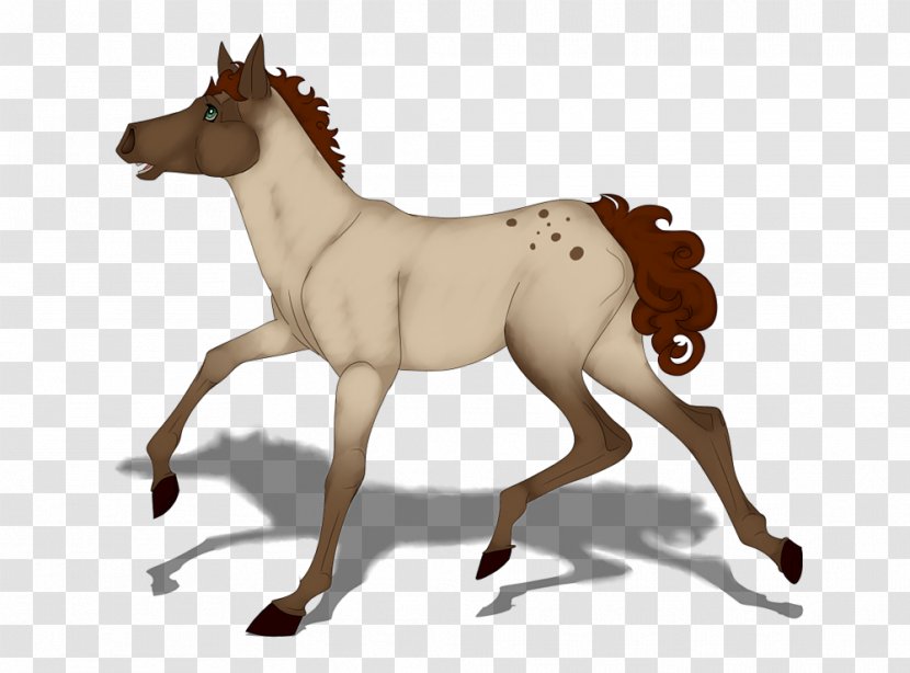 Mustang Pony Stallion Foal Colt - English Pleasure - Western Horse Silhouette Transparent PNG