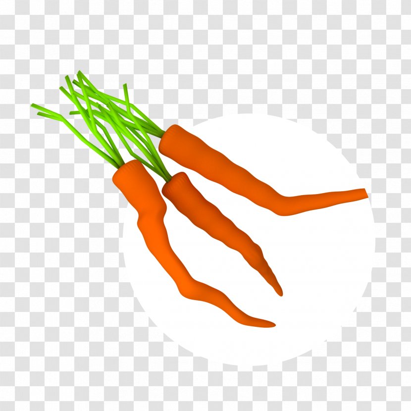 Baby Carrot Line Clip Art - Vegetable Transparent PNG