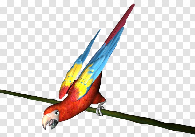 Macaw Parakeet 諾基亞 Eiffel Tower Feather - Bird - Perroquet Transparent PNG