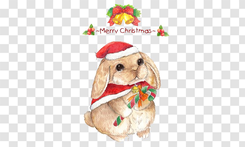 Christmas Eve The Magic Rabbit Cat - Child - Merry Bunny Element Transparent PNG