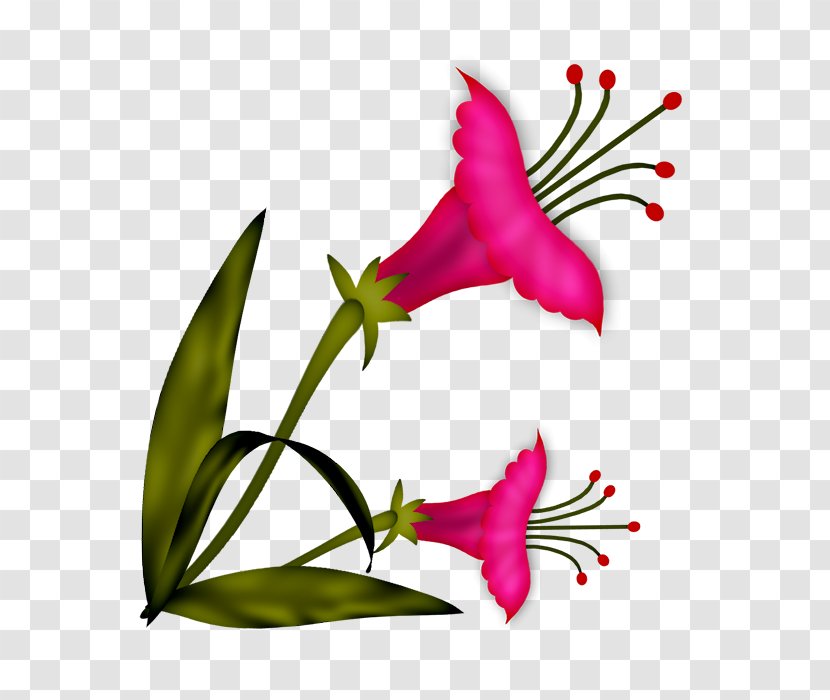 Flower Paper Floral Design Clip Art - Ribbon Transparent PNG