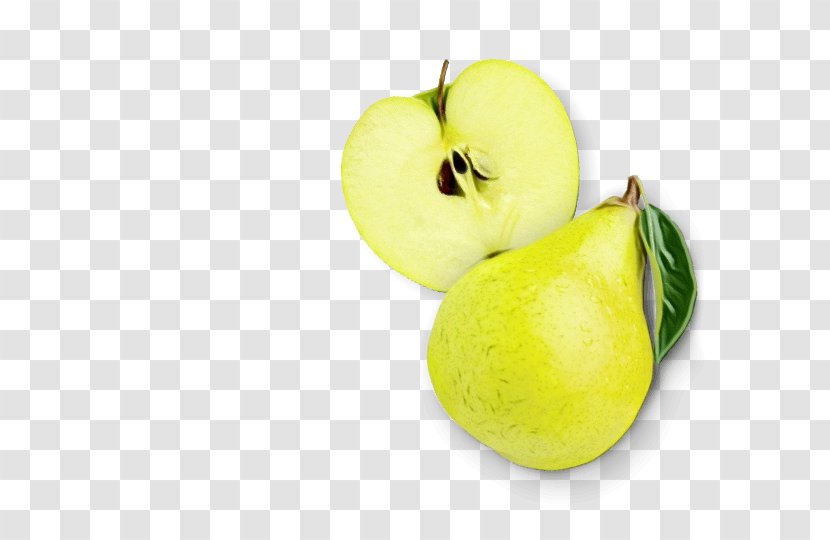 Apple Background - Plant Pear Transparent PNG
