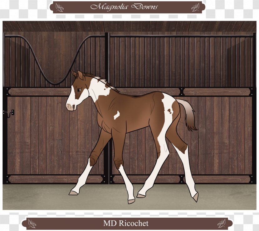 Stallion Foal Mustang Colt Mare Transparent PNG