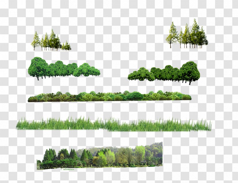 Tree Forest Computer File - Resource Transparent PNG