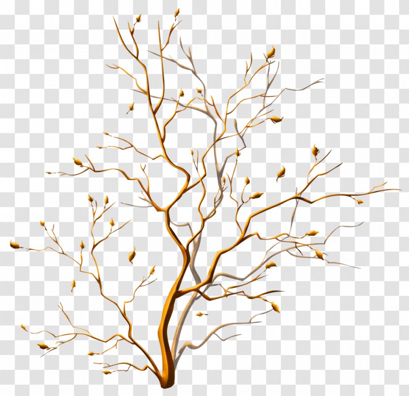 Floral Ornament Clip Art - Tree - Color Decorative Transparent PNG