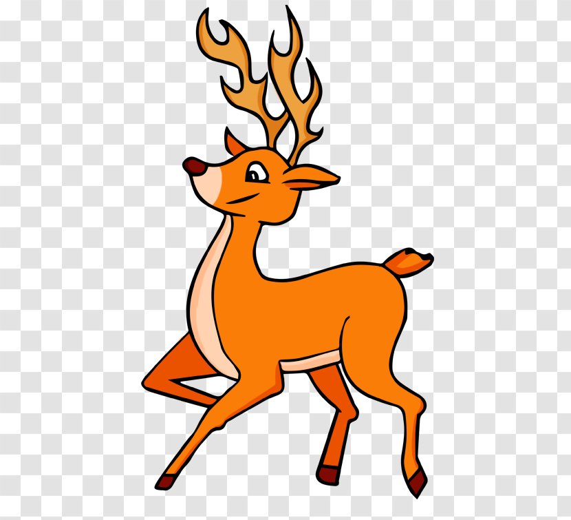 White-tailed Deer Clip Art - Drawing - High Quality Cliparts For Free! Transparent PNG