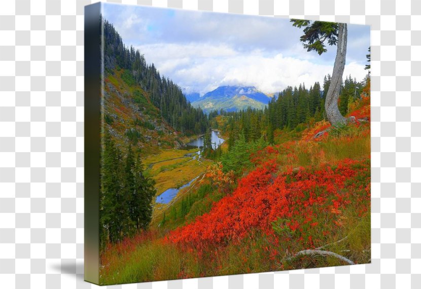 Mount Scenery National Park Painting Gallery Wrap Biome Transparent PNG