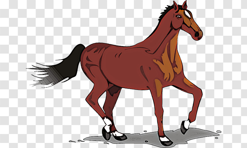 Horse Sorrel Mare Cartoon Animal Figure Transparent PNG