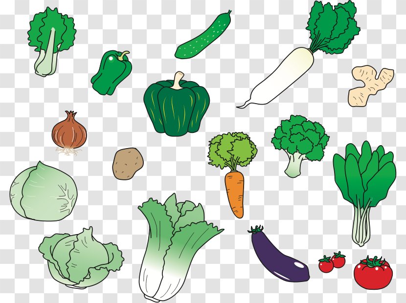 Vegetable Food Daikon Aubergines Carrot - Vegetebles Graphic Transparent PNG
