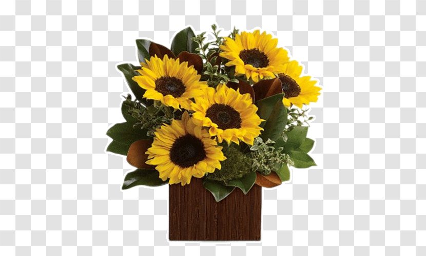 Teleflora Floristry Flower Bouquet Delivery - Plant Transparent PNG