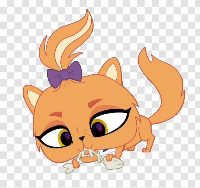 Whiskers Cat Dog Illustration Clip Art - Orange Transparent PNG