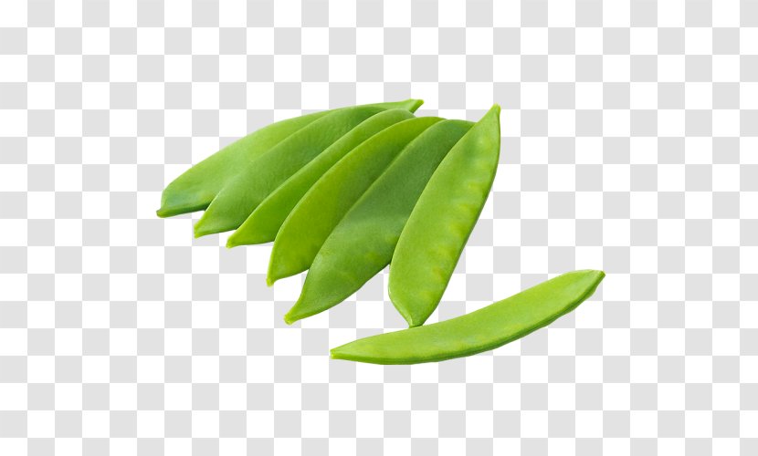 Snow Pea Snap Green Bean Stir Frying - Leaf - Peas Transparent PNG