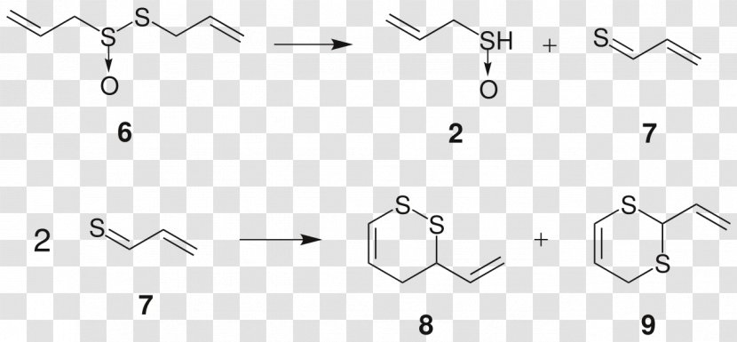 Allicin Thiosulfinate Garlic Allyl Group Propyl - Sulfinic Acid - Degrade Transparent PNG