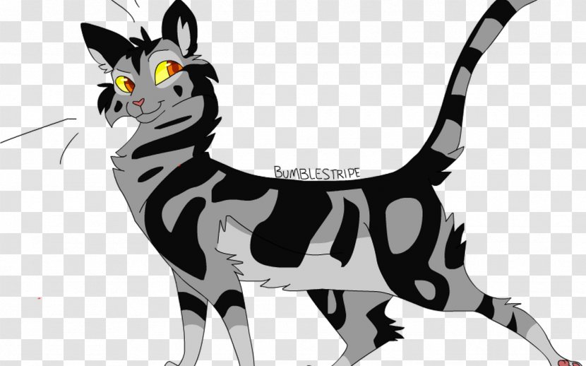 Cartoon Cat - Blackandwhite - Whiskers Animation Transparent PNG