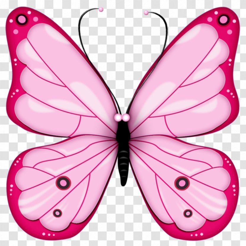 Butterfly Free Clip Art - Brush Footed - Transformation Cliparts Transparent PNG