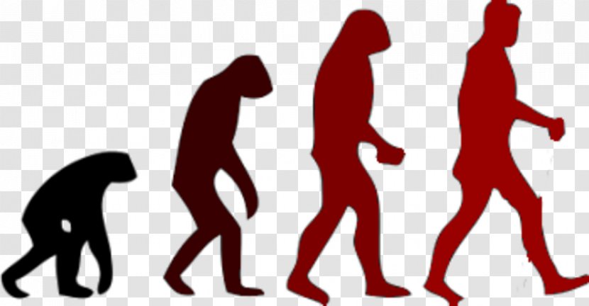 March Of Progress Human Evolution Neanderthal - Bipedalism - Right Brain Tendencies Transparent PNG