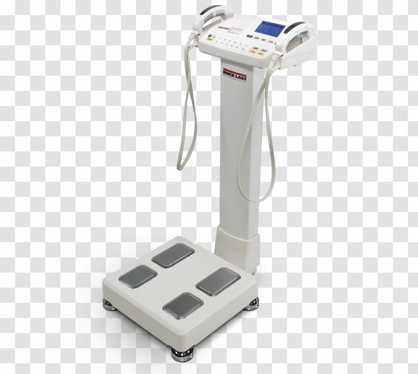Body Composition Bioelectrical Impedance Analysis Human Adipose Tissue Fat Percentage - Electricity - Lean Mass Transparent PNG