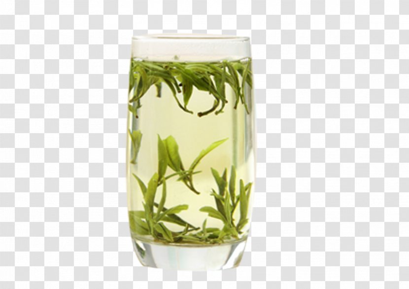 Huangshan City Tea Huoshan County Maofeng - Huangya - Delicious Green Transparent PNG