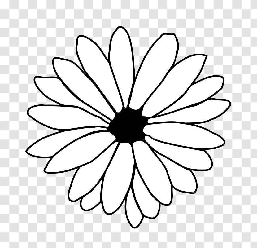 Line Art Flower Drawing Clip Transparent PNG