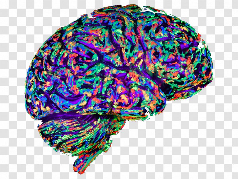 Art Brain Mapping Evolution Mind - Game Transparent PNG