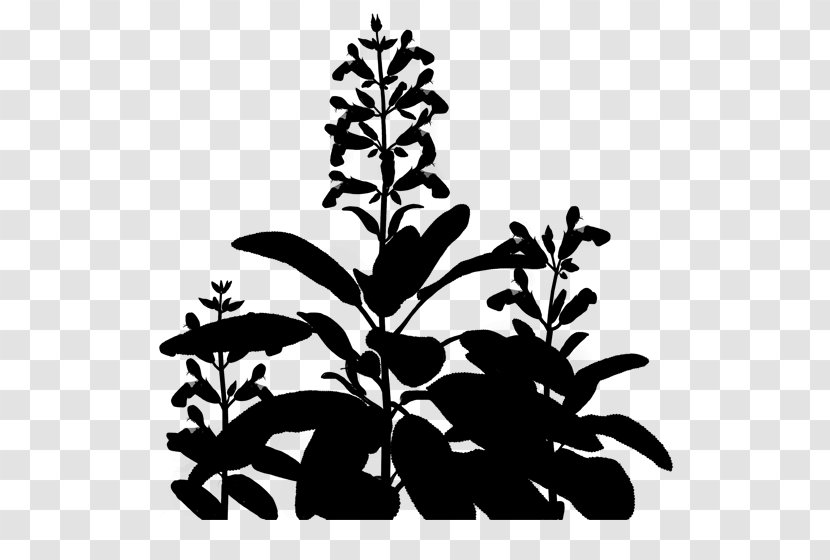 Clip Art Flowering Plant Stem Leaf - Herbaceous Transparent PNG