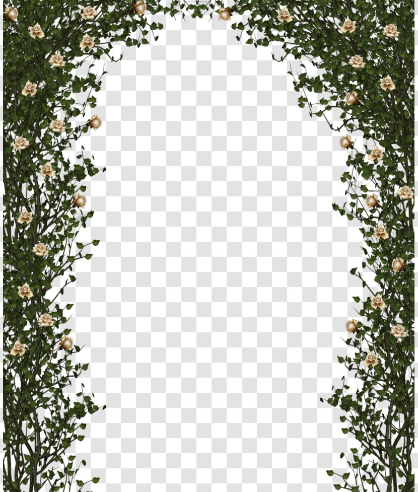 Rose Shrub Flower Clip Art - Vine - Beige Door Transparent PNG