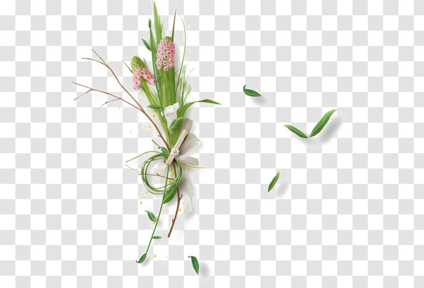 Shelf - Flora - Green Grass Transparent PNG