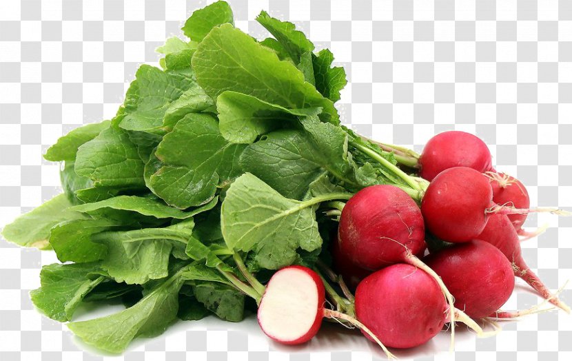 Organic Food Vegetable Daikon Seed - Chard Transparent PNG