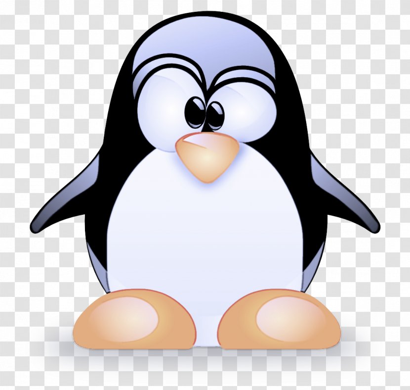 Penguin - Beak - Emperor Transparent PNG