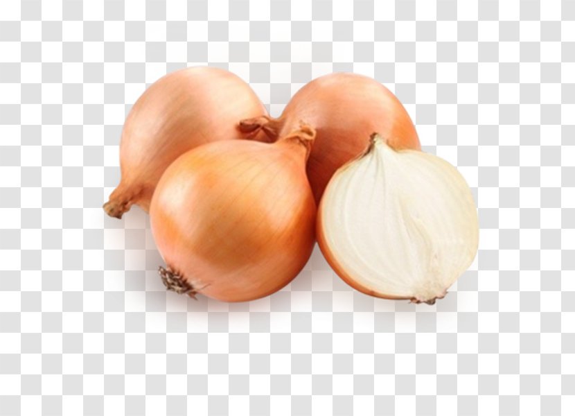 Onion Vegetable Food Photography Legume - Garlic Transparent PNG