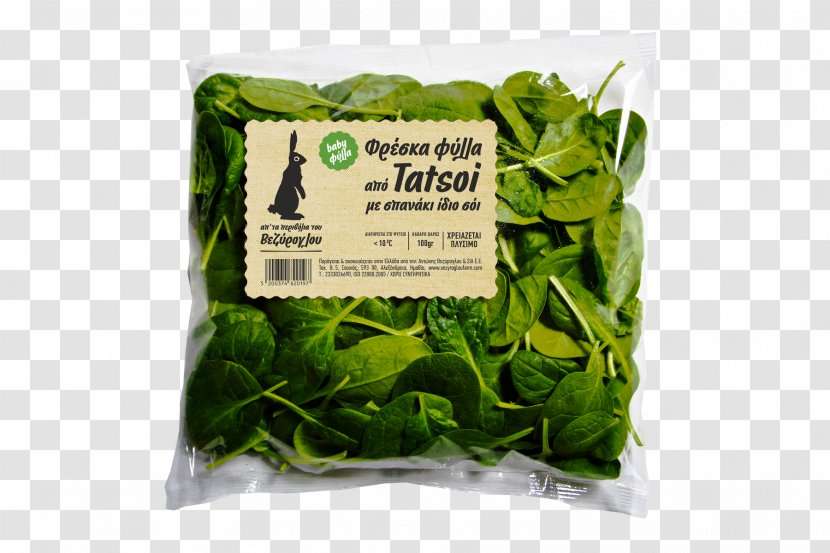 Romaine Lettuce Veziroglou, A., & SIA E.E. Salad Leaf Vegetable Spinach - Spring Greens Transparent PNG