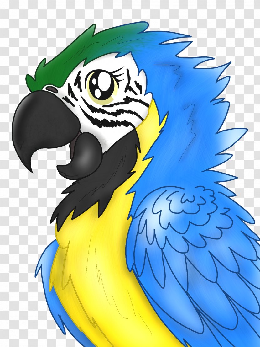 Macaw Parrot Beak Cartoon Transparent PNG
