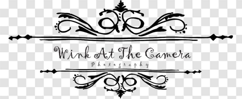 Logo Photography Black And White - Area - Design Transparent PNG