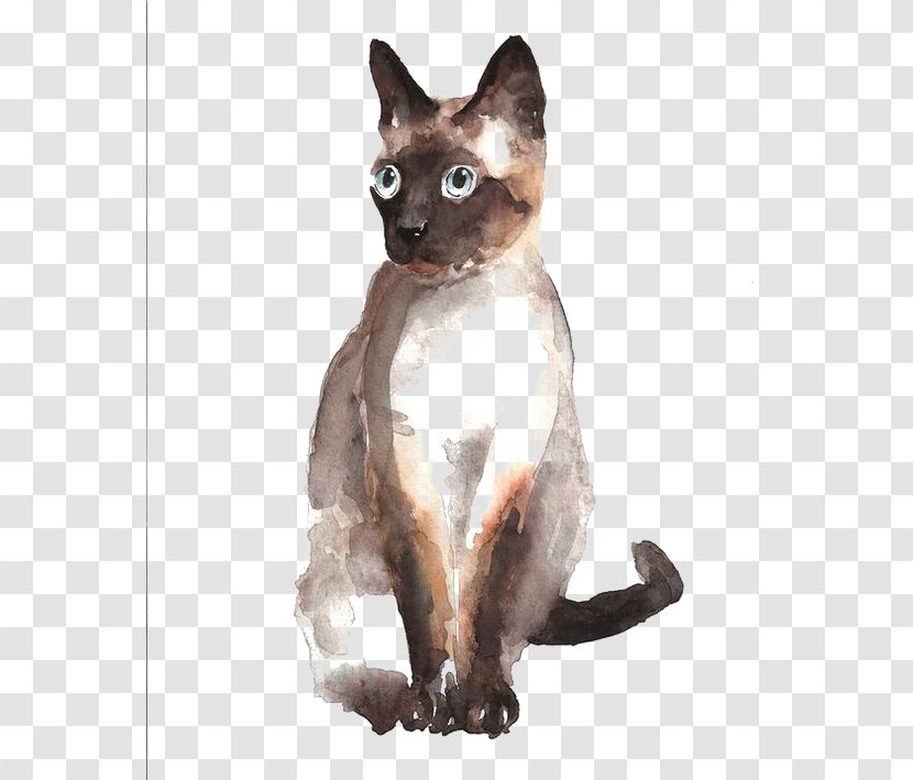 Siamese Cat German Rex Tonkinese Burmese Devon - Hand-painted Watercolor Transparent PNG