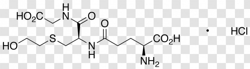 Methylarginine Endothelial NOS Virtual Image Real - Flower - Silhouette Transparent PNG