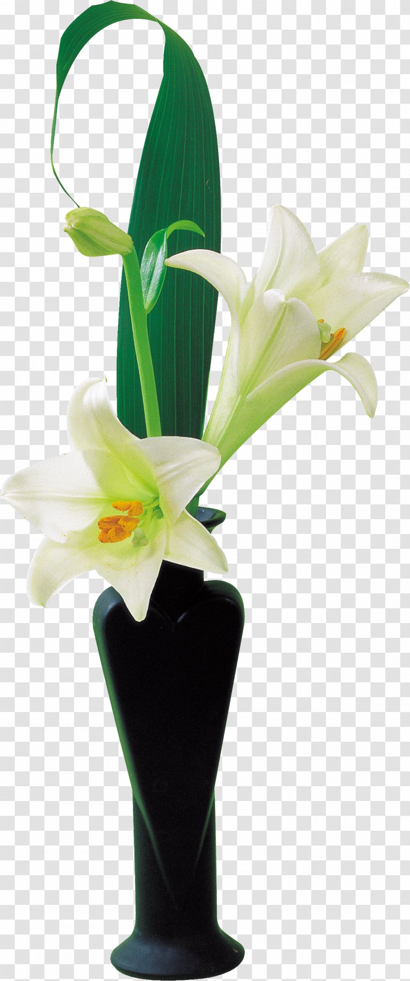Cut Flowers Vase Lilium - Plant Stem - Lily Transparent PNG